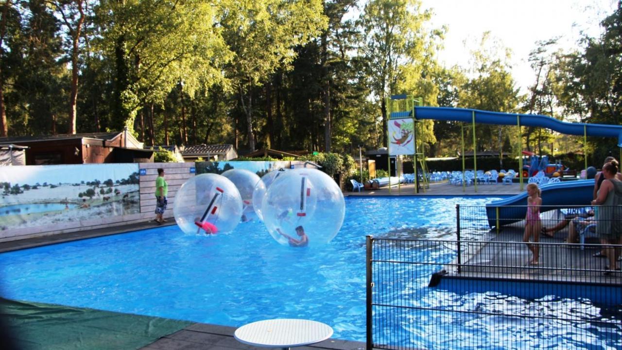 הונדרלו Chalet Bosrand 42 Park Veluwshof 6 P מראה חיצוני תמונה